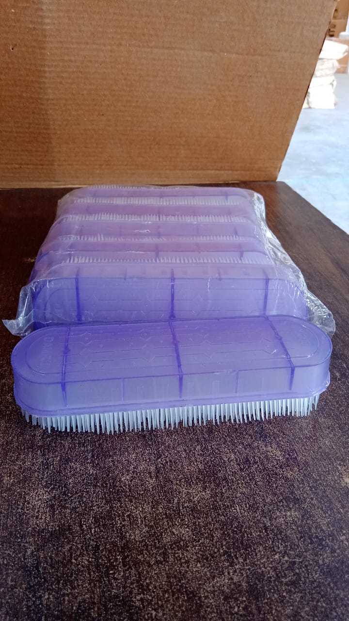 Multipurpose Plastic Handle Laundry Brush (1 Pc)